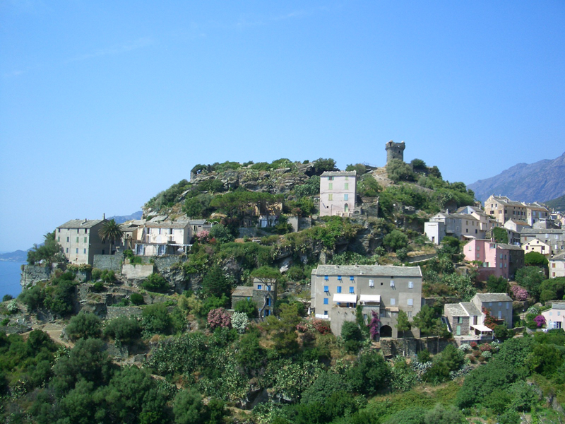 capcorse1