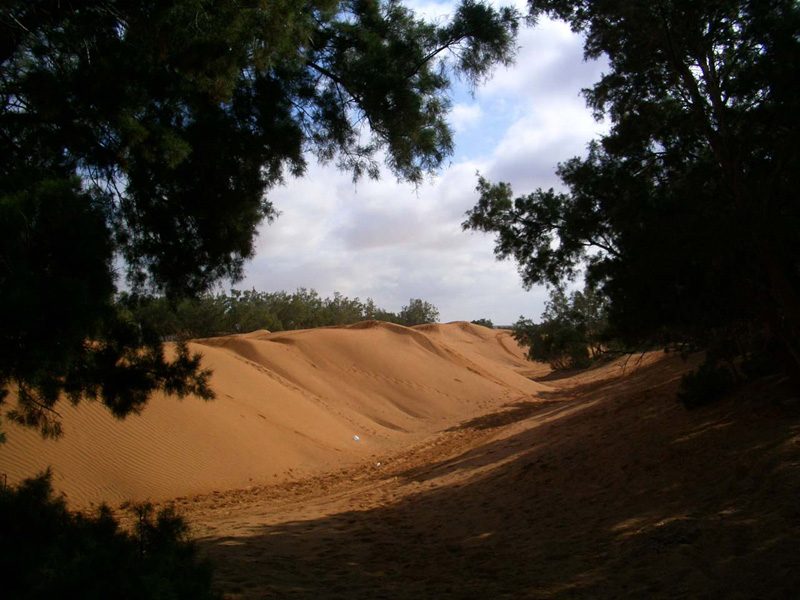 004_Ksar_Ghilane_2